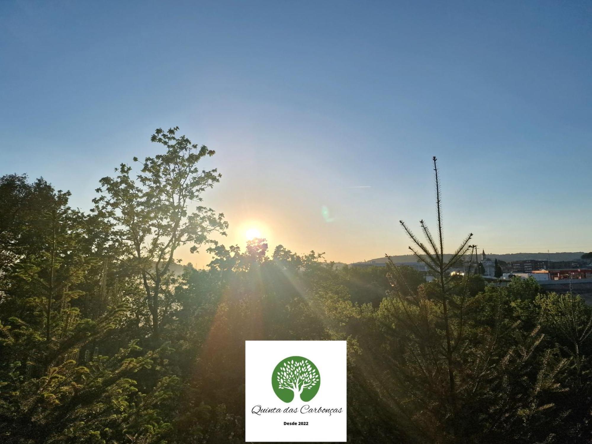 Quinta Das Carboncas Fafe Luaran gambar