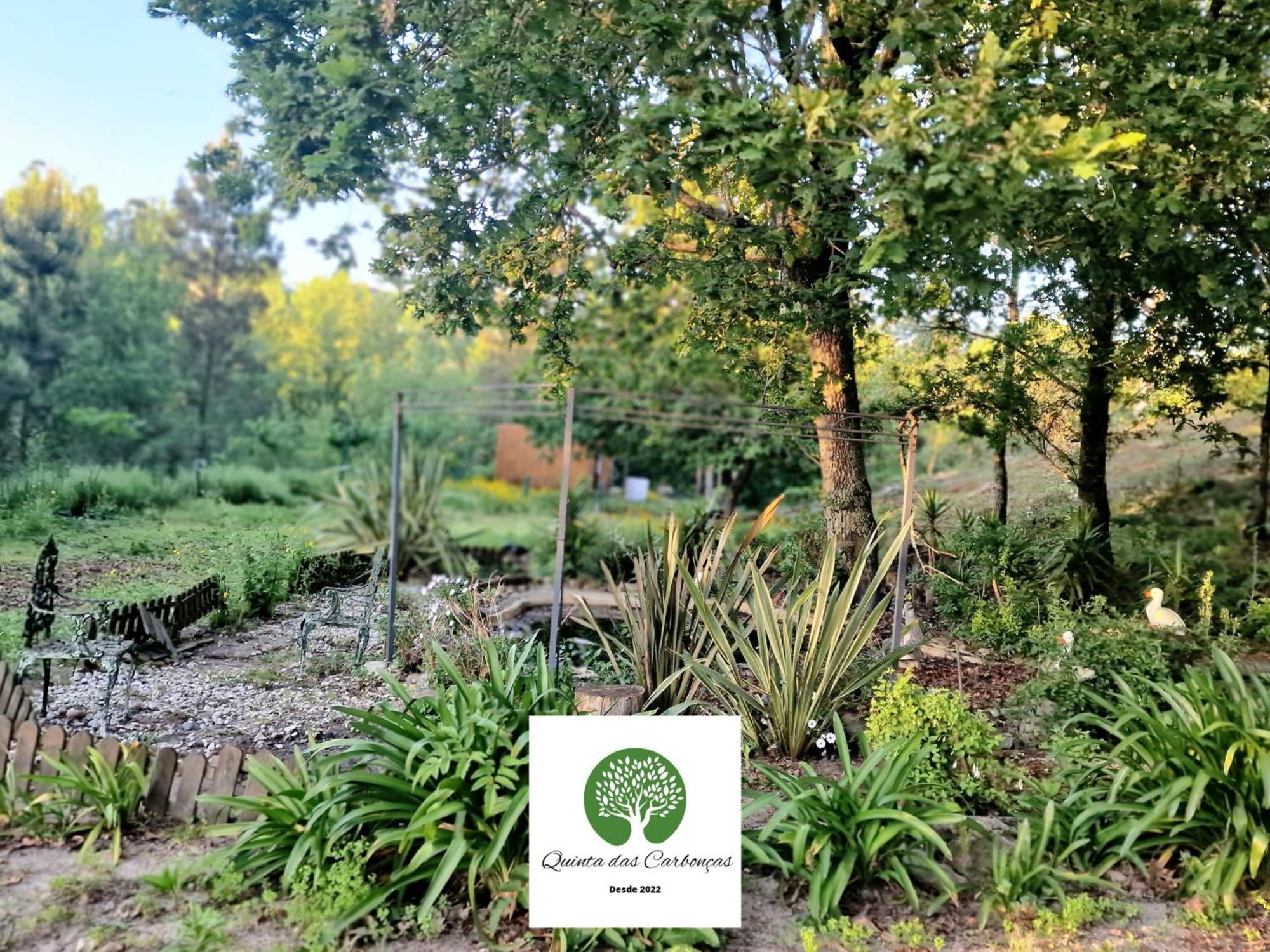 Quinta Das Carboncas Fafe Luaran gambar