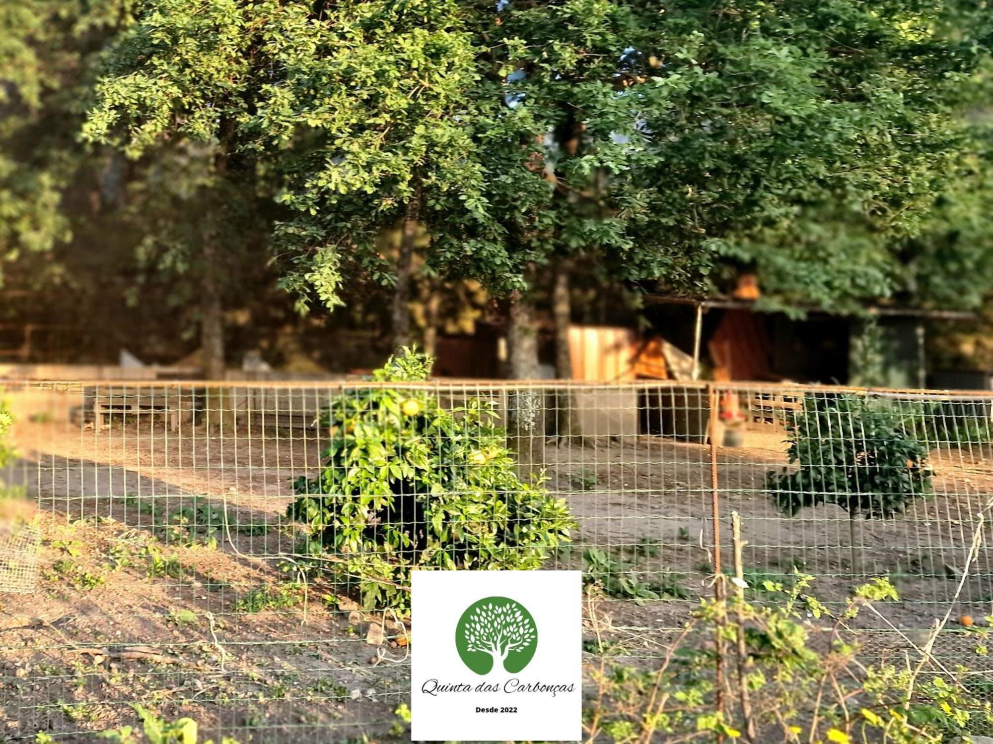 Quinta Das Carboncas Fafe Luaran gambar